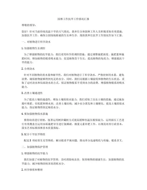 园林工作抗旱工作情况汇报