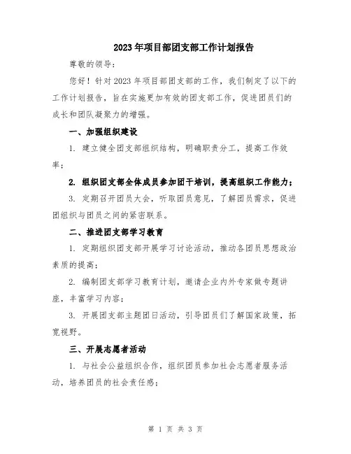 2023年项目部团支部工作计划报告