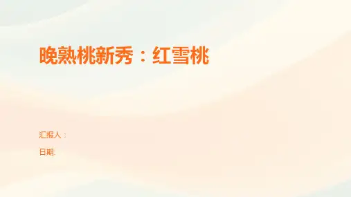 晚熟桃新秀：红雪桃