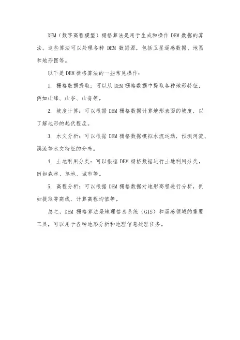 dem栅格算法