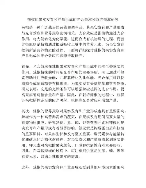 辣椒的果实发育和产量形成的光合效应和营养摄取研究