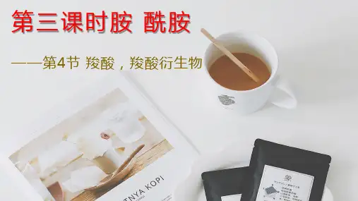 胺-酰胺ppt课件