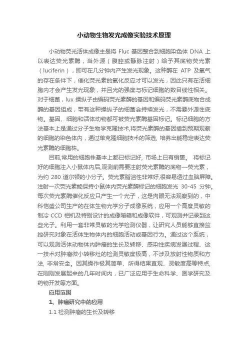 小动物生物发光成像实验技术原理