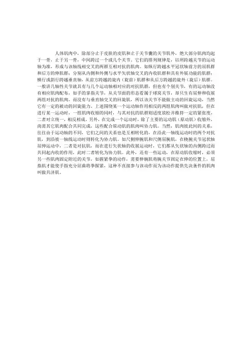 解剖指导：肌的配布规律和运动时的相互关系