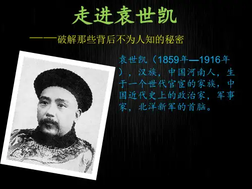 袁世凯的一生剖析讲解