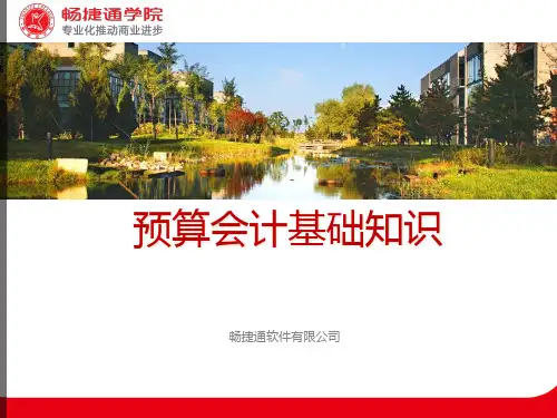 财务会计与预算管理基础知识分析.pptx