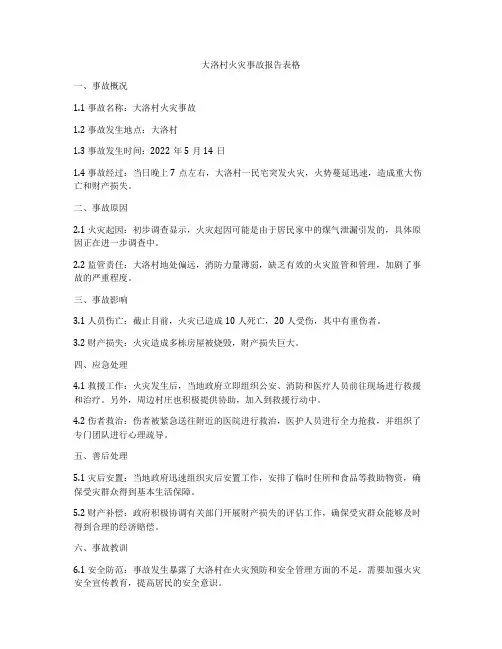 大洛村火灾事故报告表格