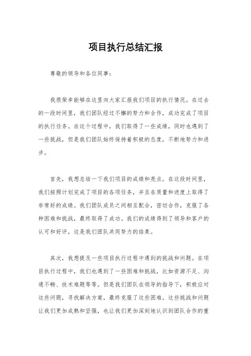 项目执行总结汇报