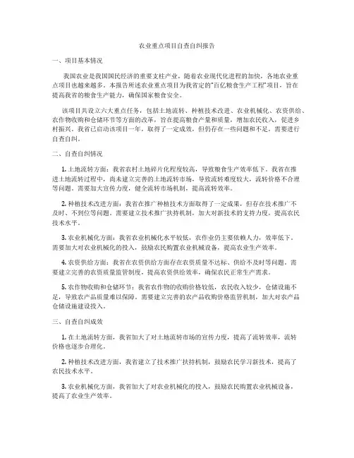 农业重点项目自查自纠报告