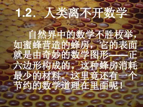 华师大版七年级上1.2《人类离不开数学》课件