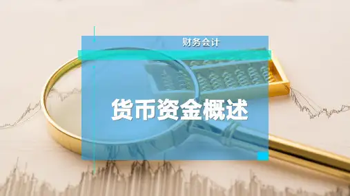 货币资金概述