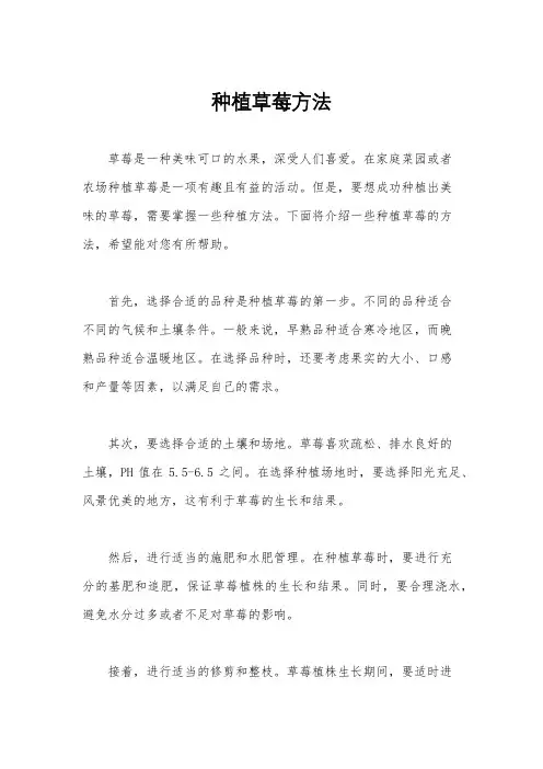 种植草莓方法