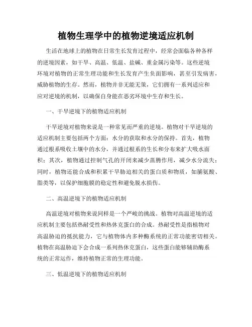 植物生理学中的植物逆境适应机制