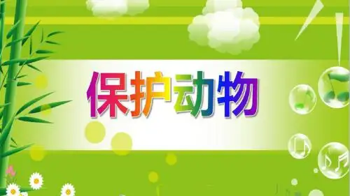 大班社会PPT课件《保护动物》