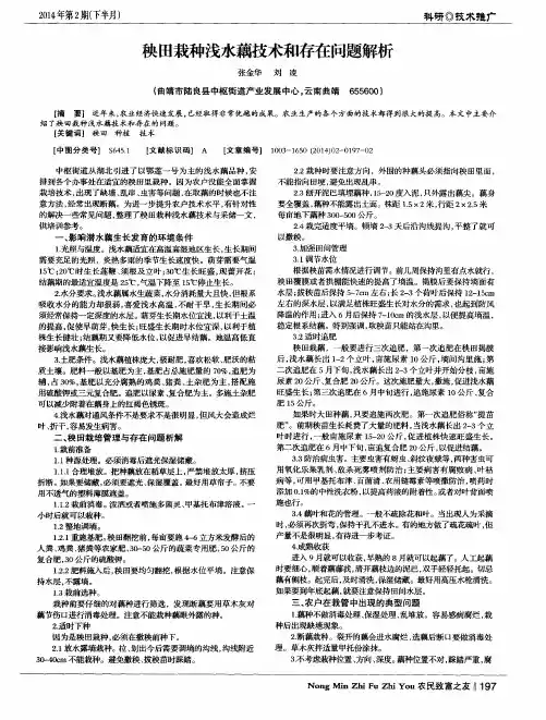秧田栽种浅水藕技术和存在问题解析