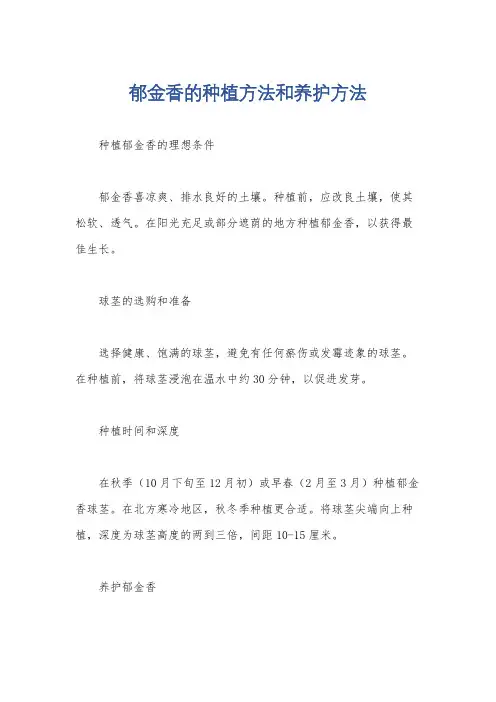 郁金香的种植方法和养护方法