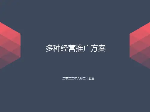 物业项目多经推广方案