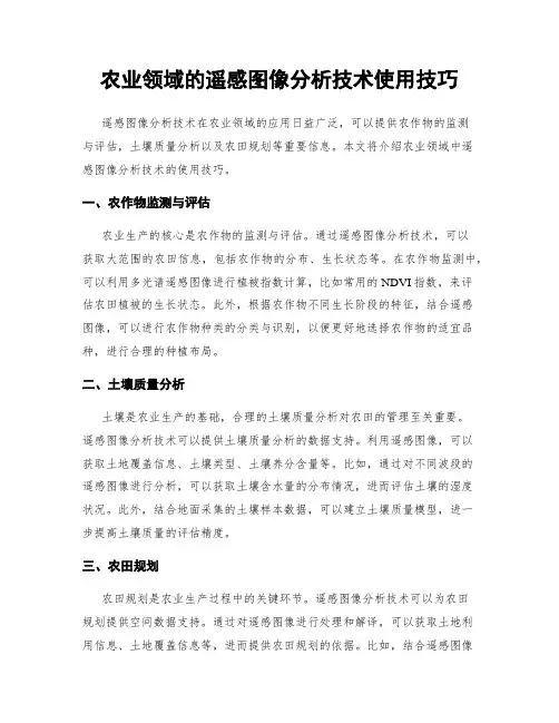 农业领域的遥感图像分析技术使用技巧