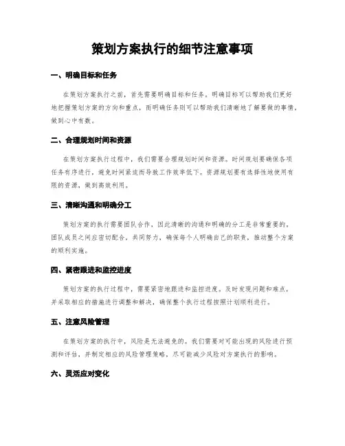 策划方案执行的细节注意事项