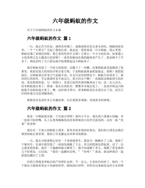 六年级蚂蚁的作文