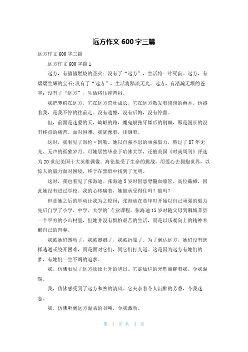 远方作文600字三篇