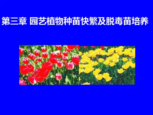 第三章第一节 植物器官培养