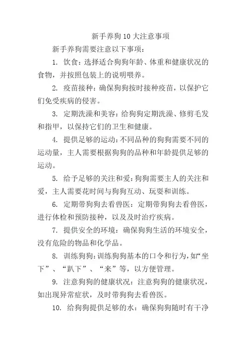 新手养狗10大注意事项