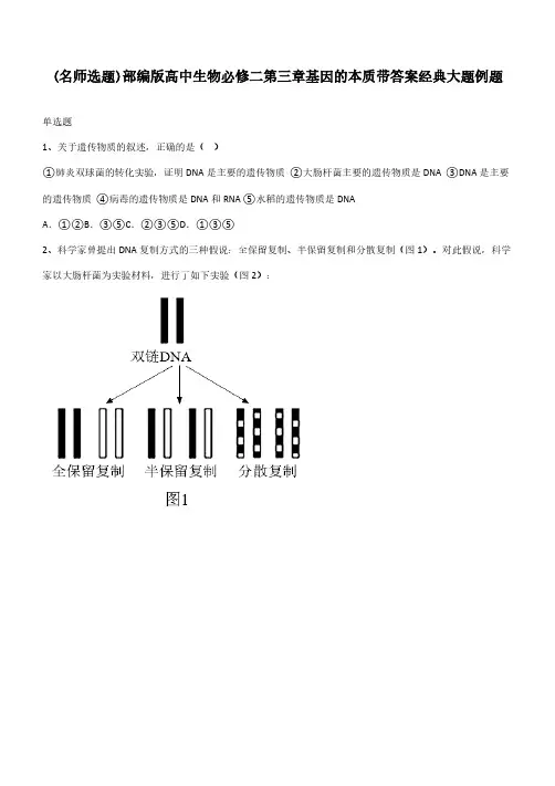部编版高中生物必修二第三章基因的本质带答案经典大题例题