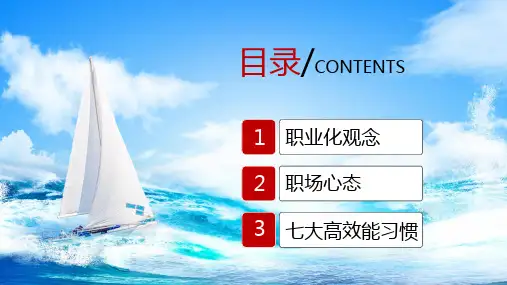 简约商务职业化素养提升培训课堂教学PPT课件