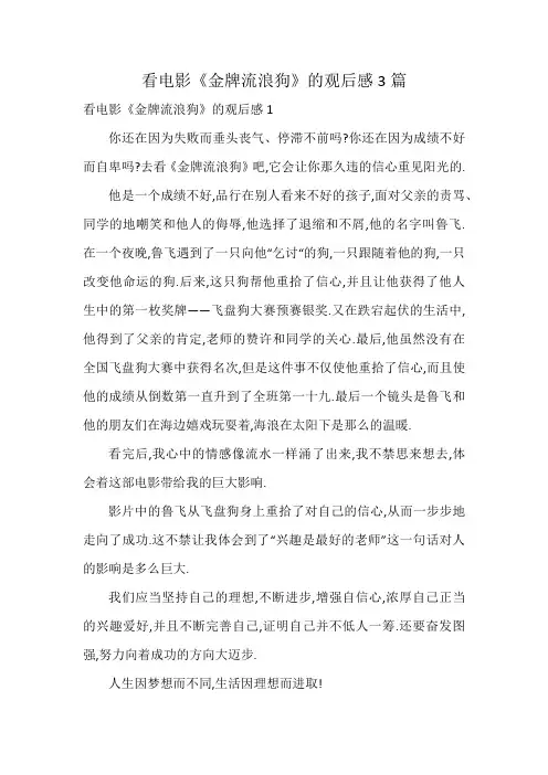 看电影《金牌流浪狗》的观后感3篇