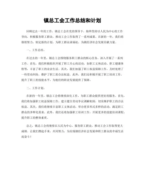 镇总工会工作总结和计划