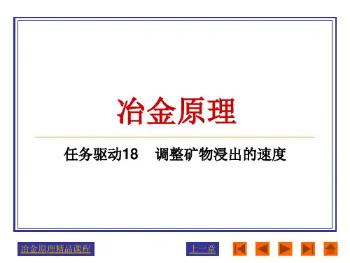 第八章矿物浸出.pptx