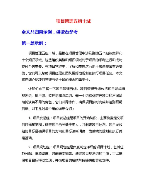 项目管理五组十域