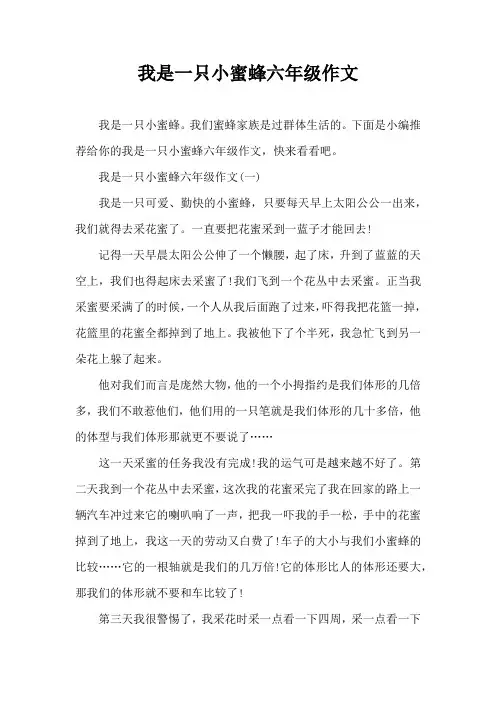 我是一只小蜜蜂六年级作文