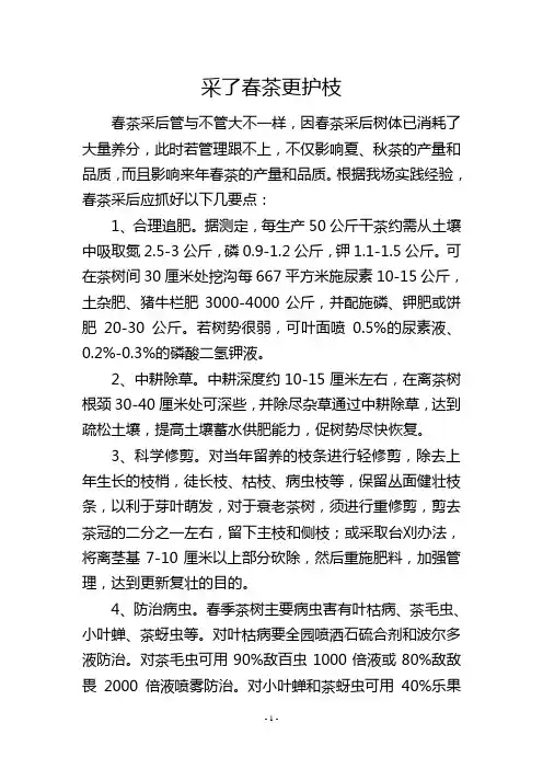 采了春茶更护枝
