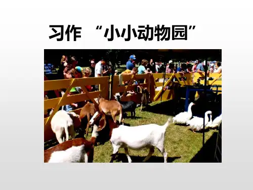 《小小动物园》PPT-完美版