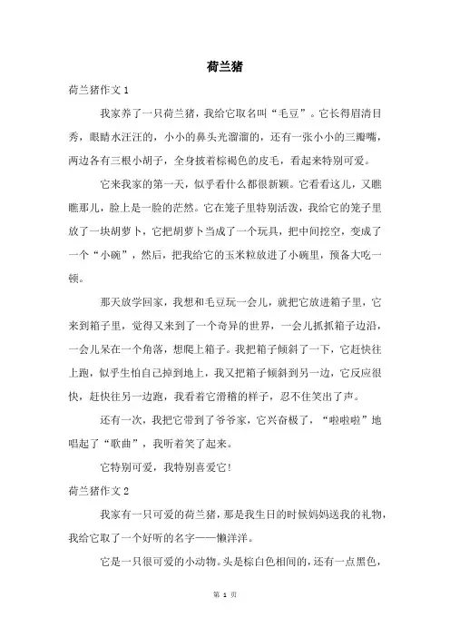 荷兰猪精品文档