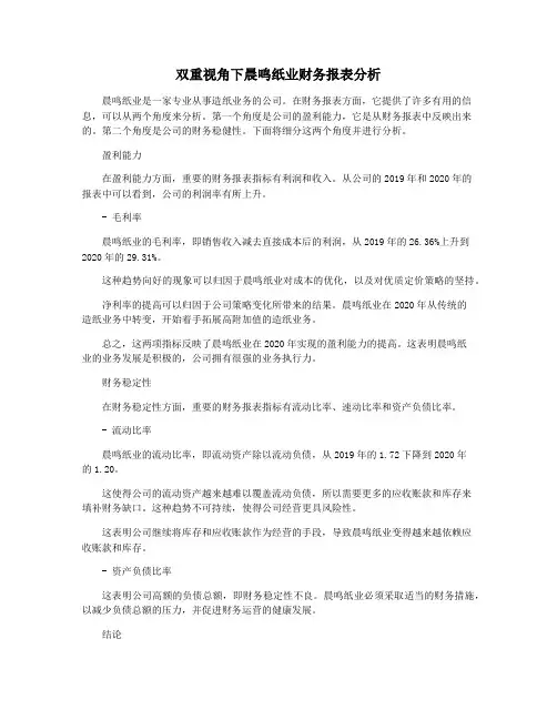 双重视角下晨鸣纸业财务报表分析