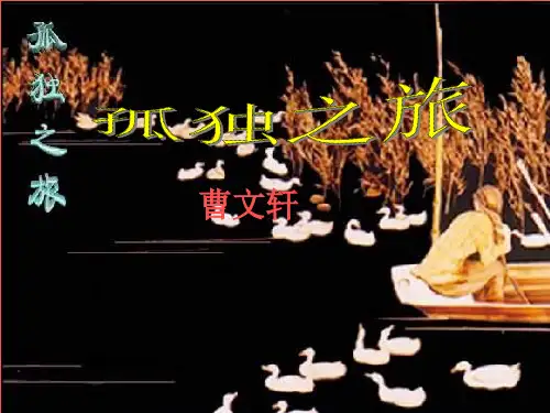 《孤独之旅》上课-完整版PPT课件