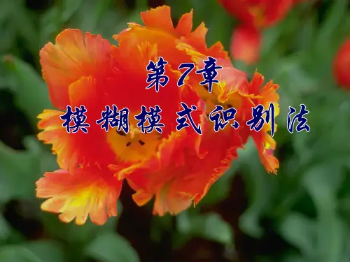 模糊模式识别法