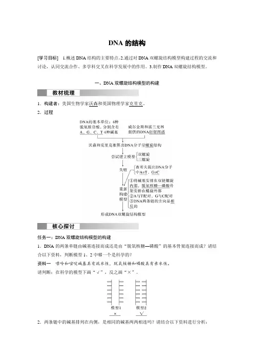 高中生物新教材必修第二册教案讲义：DNA的结构