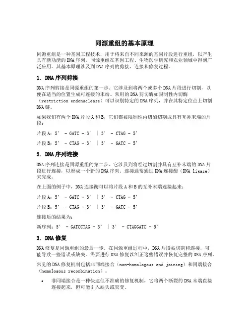 同源重组的原理