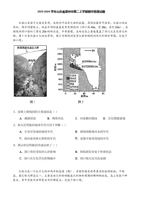 2023-2024学年山东省德州市高二上学期期中地理试题