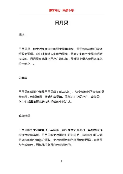 日月贝_精品文档