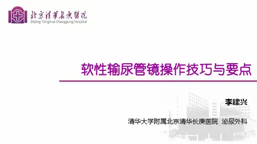 软镜操作技巧—李建兴 