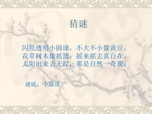 三年级语文小露珠
