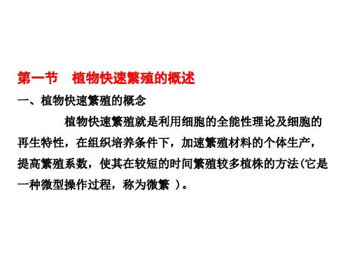 修改第四章植物离体快速繁殖ppt课件