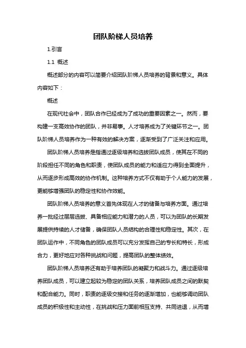 团队阶梯人员培养