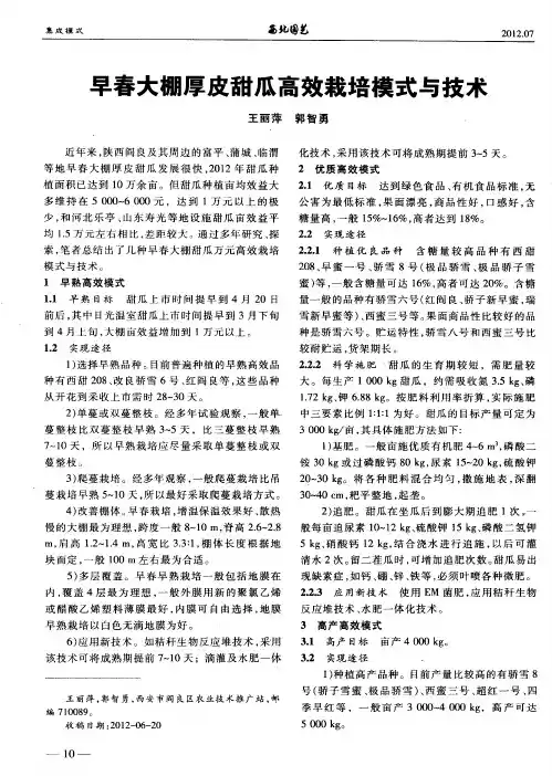 早春大棚厚皮甜瓜高效栽培模式与技术