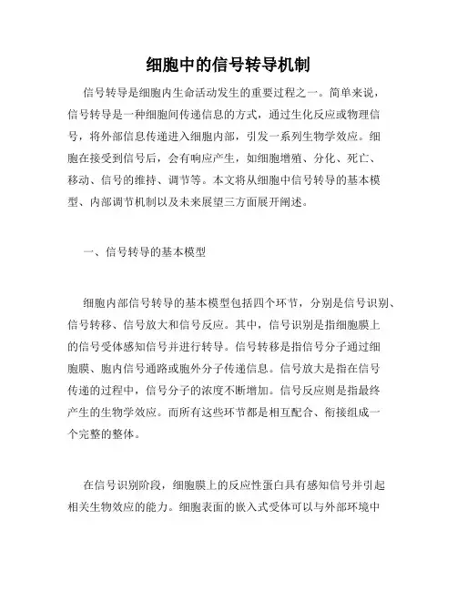 细胞中的信号转导机制